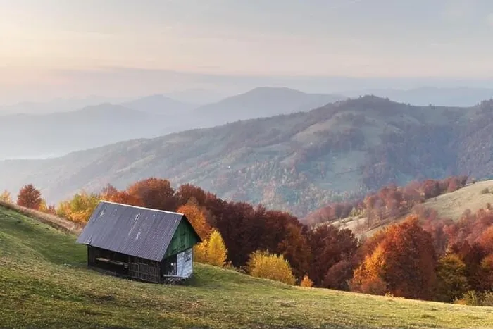 Framed Print : Picturesque autumn meadow with wooden house and red beech trees in the Carpathian mountains, Ukraine. Landscape photography