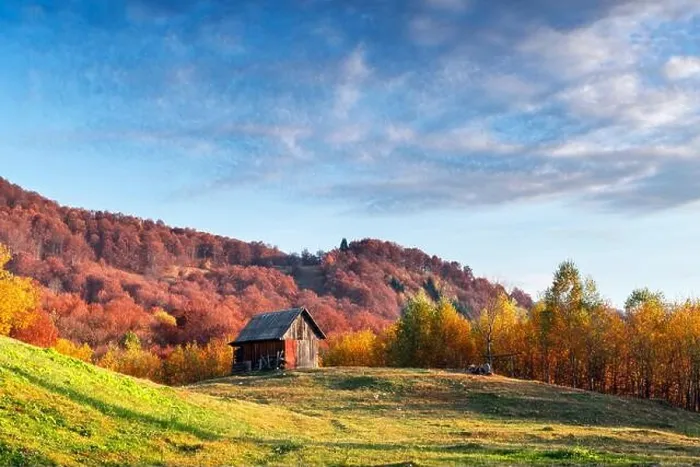 Framed Print : Picturesque autumn meadow with wooden house and red beech trees in the Carpathian mountains, Ukraine. Landscape photography Framed Print : Picturesque autumn meadow with wooden house and red beech trees in the Carpathian mountains, Ukraine. Landscape photography