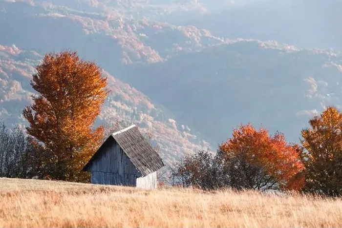 Framed Print : Picturesque autumn meadow with wooden house and red beech trees in the Carpathian mountains, Ukraine. Landscape photography Framed Print : Picturesque autumn meadow with wooden house and red beech trees in the Carpathian mountains, Ukraine. Landscape photography
