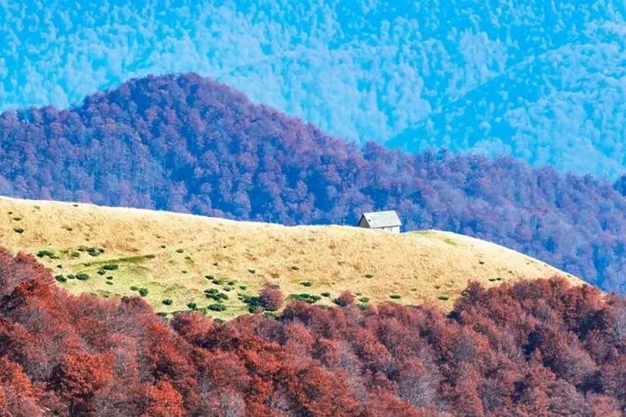 Framed Print : Picturesque autumn meadow with wooden house and red beech trees in the Carpathian mountains, Ukraine. Landscape photography Framed Print : Picturesque autumn meadow with wooden house and red beech trees in the Carpathian mountains, Ukraine. Landscape photography