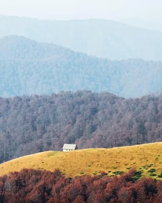 Framed Print : Picturesque autumn meadow with wooden house and red beech trees in the Carpathian mountains, Ukraine. Landscape photography Framed Print : Picturesque autumn meadow with wooden house and red beech trees in the Carpathian mountains, Ukraine. Landscape photography