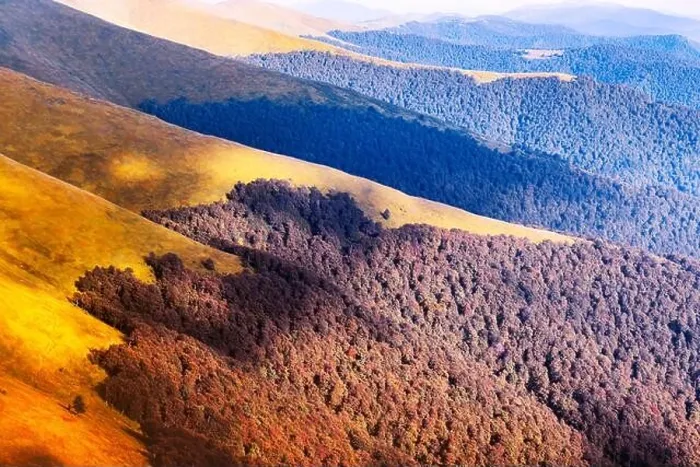 Framed Print : Picturesque autumn mountain ranges covered with red beech forest in the Carpathians, Ukraine. Landscape photography Framed Print : Picturesque autumn mountain ranges covered with red beech forest in the Carpathians, Ukraine. Landscape photography
