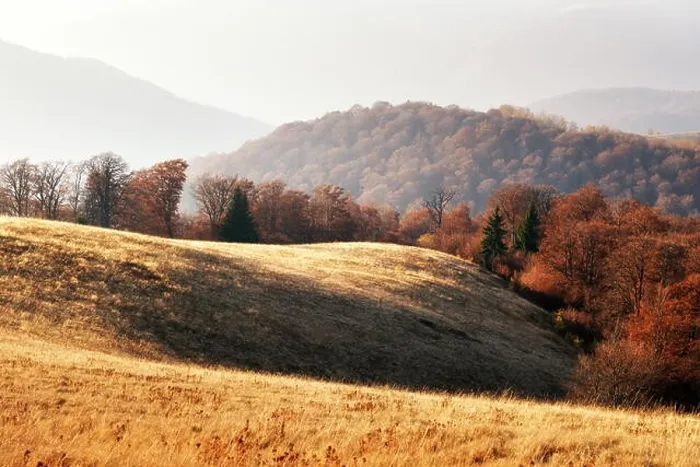 Framed Print : Picturesque autumn mountains with red beech forest in the Carpathian mountains, Ukraine. Landscape photography Framed Print : Picturesque autumn mountains with red beech forest in the Carpathian mountains, Ukraine. Landscape photography