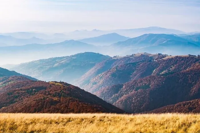 Framed Print : Picturesque autumn mountains with red beech forest in the Carpathian mountains, Ukraine. Landscape photography Framed Print : Picturesque autumn mountains with red beech forest in the Carpathian mountains, Ukraine. Landscape photography