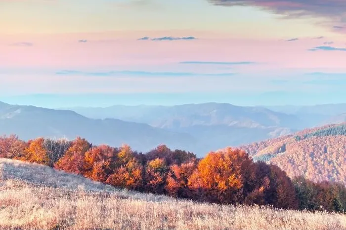 Framed Print : Picturesque autumn mountains with red beech forest in the Carpathian mountains, Ukraine. Landscape photography Framed Print : Picturesque autumn mountains with red beech forest in the Carpathian mountains, Ukraine. Landscape photography