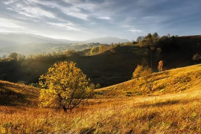 Framed Print : Picturesque autumn mountains with yellow grass and orange trees in the Carpathian mountains, Ukraine. Landscape photography