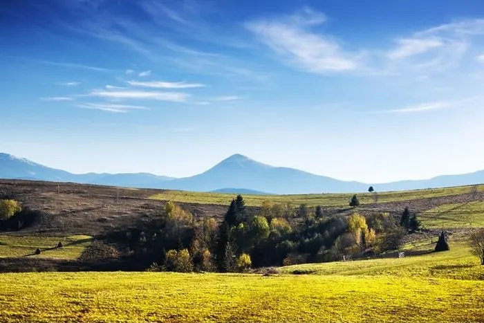 Framed Print : Picturesque autumn mountains with yellow grass and orange trees in the Carpathian mountains, Ukraine. Landscape photography Framed Print : Picturesque autumn mountains with yellow grass and orange trees in the Carpathian mountains, Ukraine. Landscape photography