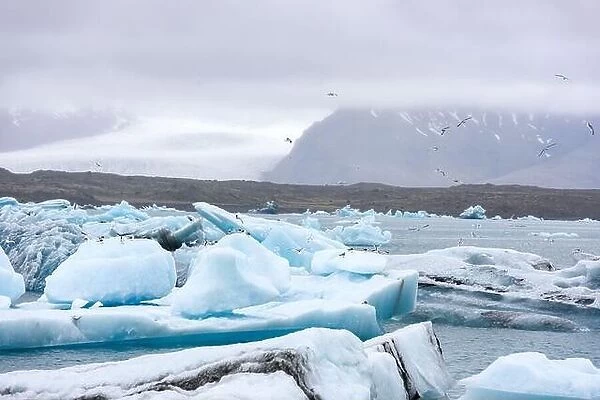 Picturesque landscape with floating icebergs in Jokulsarlon glacier lagoon, Iceland