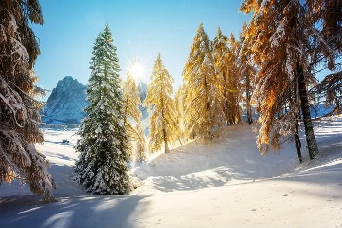 Framed Print : Picturesque landscape with orange larches covered by first snow on meadow Alpe di Siusi, Seiser Alm, Dolomites, Italy Framed Print : Picturesque landscape with orange larches covered by first snow on meadow Alpe di Siusi, Seiser Alm, Dolomites, Italy