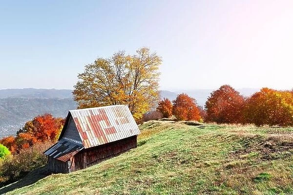 Picturesque meadow with wooden house and red beech trees in the autumn mountains. Landscape photography
