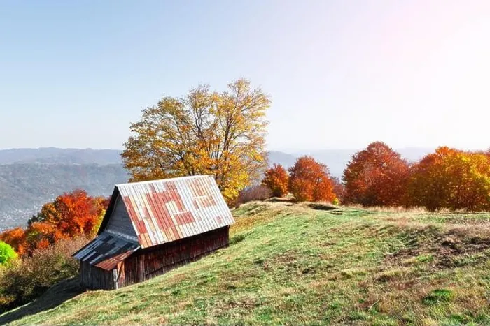 Framed Print : Picturesque meadow with wooden house and red beech trees in the autumn mountains. Landscape photography Framed Print : Picturesque meadow with wooden house and red beech trees in the autumn mountains. Landscape photography