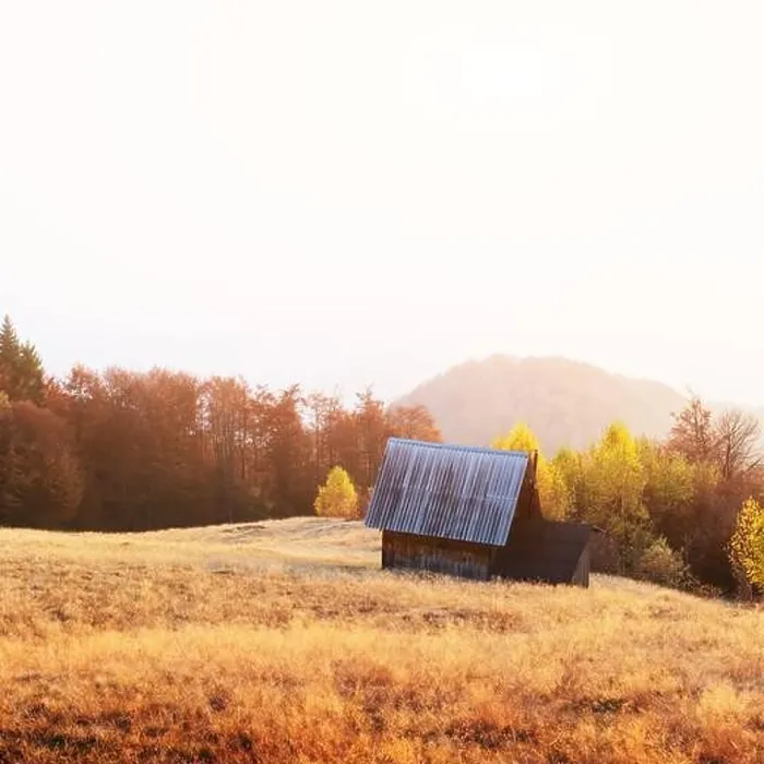 Framed Print : Picturesque meadow with wooden house and red beech trees in the autumn mountains. Landscape photography Framed Print : Picturesque meadow with wooden house and red beech trees in the autumn mountains. Landscape photography
