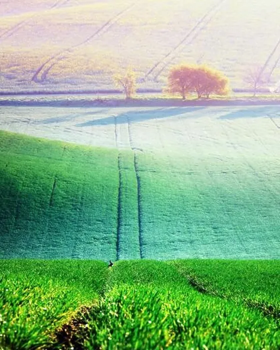 Framed Print : Picturesque rural landscape with green agricultural field and trees on spring hills. South Moravia region, Czech Republic Framed Print : Picturesque rural landscape with green agricultural field and trees on spring hills. South Moravia region, Czech Republic