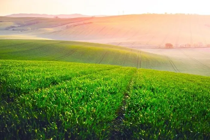 Framed Print : Picturesque rural landscape with green agricultural field and trees on spring hills. South Moravia region, Czech Republic Framed Print : Picturesque rural landscape with green agricultural field and trees on spring hills. South Moravia region, Czech Republic