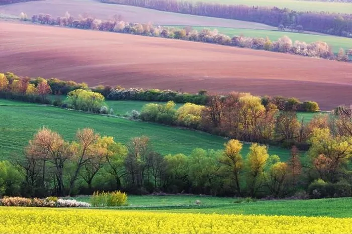 Framed Print : Picturesque rural landscape with green agricultural field and trees on spring hills. South Moravia region, Czech Republic Framed Print : Picturesque rural landscape with green agricultural field and trees on spring hills. South Moravia region, Czech Republic