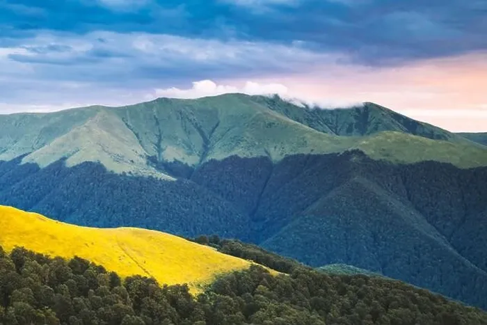 Framed Print : Picturesque summer landscape in Carpathian mountains. Green hills, forest and yellow meadows in fantastic evening sunlight Framed Print : Picturesque summer landscape in Carpathian mountains. Green hills, forest and yellow meadows in fantastic evening sunlight