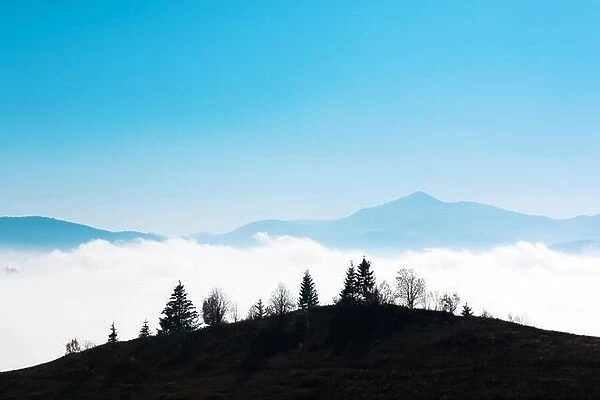 Picturesque summer landscape in foggy day in Carpathian mountains. Trees silhouette on mountain range background