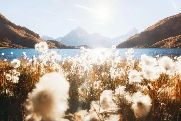 Framed Print : Picturesque view on Bachalpsee lake in Swiss Alps mountains. Grindelwald valley, Switzerland. Landscape photography Framed Print : Picturesque view on Bachalpsee lake in Swiss Alps mountains. Grindelwald valley, Switzerland. Landscape photography