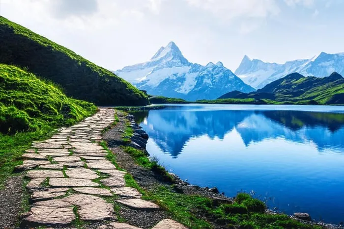Framed Print : Picturesque view on Bachalpsee lake in Swiss Alps mountains. Snowy peaks of Wetterhorn, Mittelhorn and Rosenhorn on background Framed Print : Picturesque view on Bachalpsee lake in Swiss Alps mountains. Snowy peaks of Wetterhorn, Mittelhorn and Rosenhorn on background