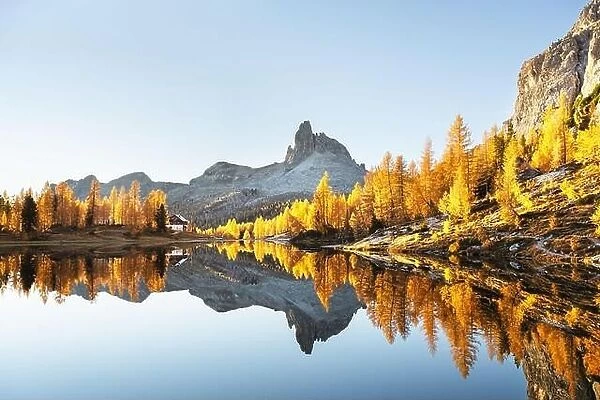 Picturesque view on Federa Lake in sunrise time. Autumn mountains landscape with Lago di Federa and bright orange larches in the Dolomite Apls