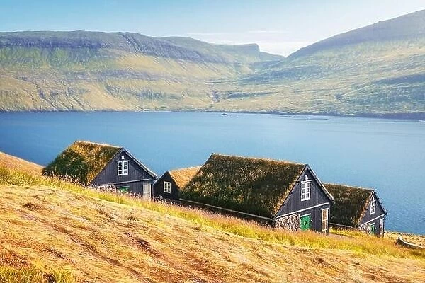 Picturesque view of tradicional faroese grass-covered houses in the village Bour during autumn. Vagar island, Faroe Islands, Denmark
