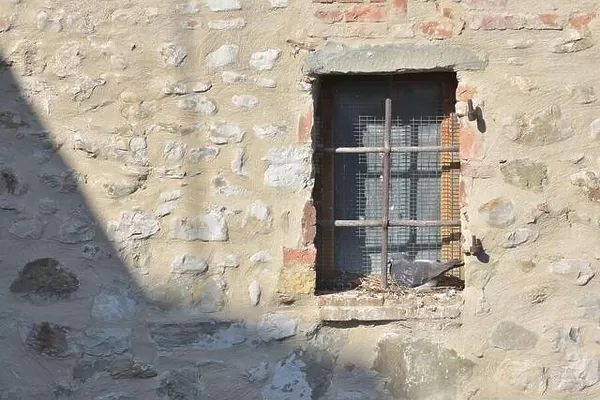 Pigeons in the window of the fortress. Travel concept. Italy, Europe