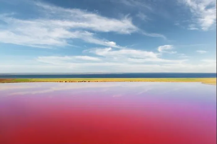Framed Print : Pink lake water under blue sky with fluffy clouds in summer day. Creative color concept