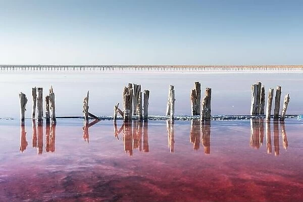 Pink salt lake water with wooden posts under clear blue sky in summer day. Creative color concept
