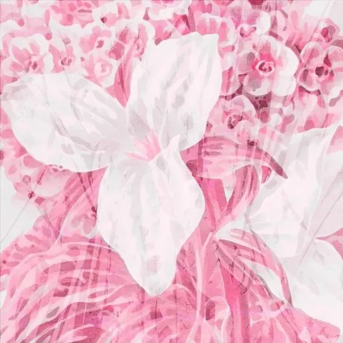 Framed Print : Pink-toned square floral art, digitally created Framed Print : Pink-toned square floral art, digitally created