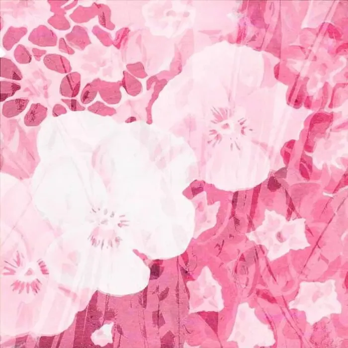 Framed Print : Pink-toned square floral art, digitally created Framed Print : Pink-toned square floral art, digitally created