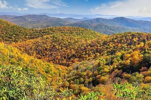 Pisgah National Forest, North Carolina, USA during autumn