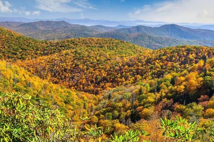 Framed Print : Pisgah National Forest, North Carolina, USA during autumn Framed Print : Pisgah National Forest, North Carolina, USA during autumn