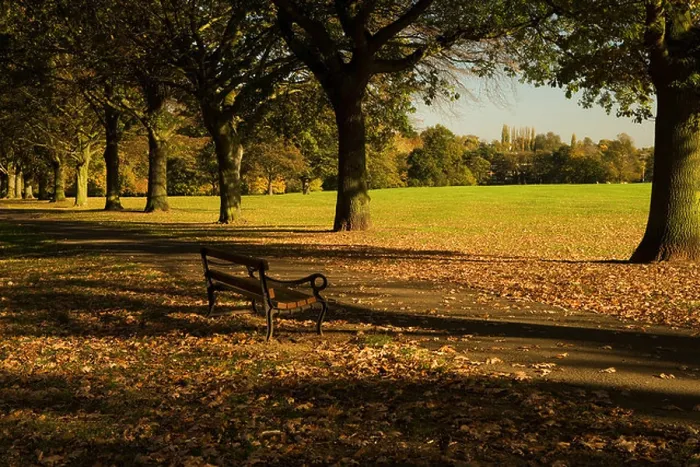 Framed Print : A place to sit, Abington Park, Northampton, Northamptonshire, England, UK