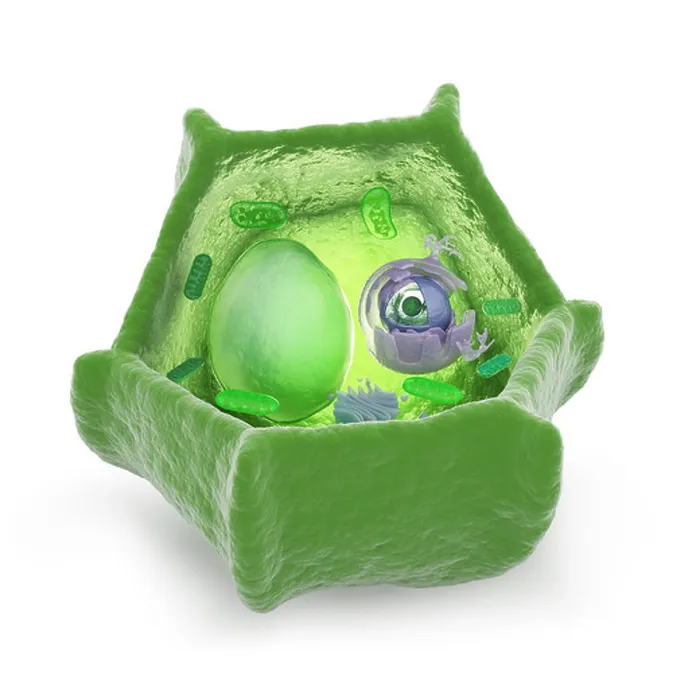 Framed Print : Plant cell cutaway science illustration Framed Print : Plant cell cutaway science illustration