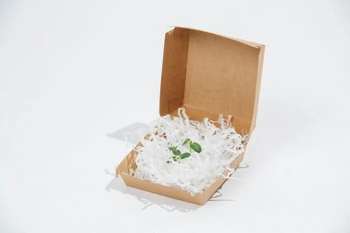 Framed Print : Plant stock surrounded with fillings in a paper container over white background. Eco friendly packaging concept