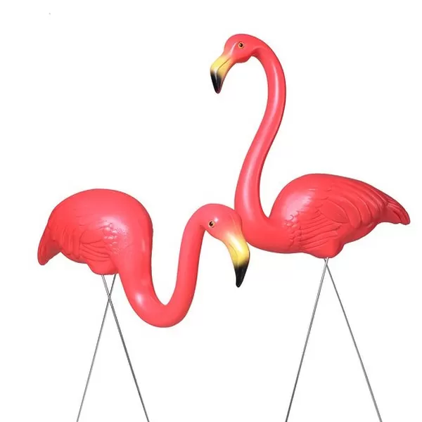 Plastic Flamingos