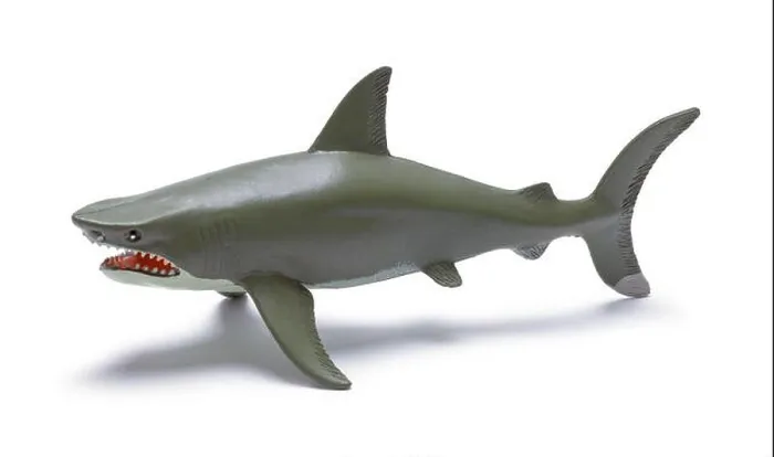 Framed Print : Plastic Shark Toy Cut Out on White Framed Print : Plastic Shark Toy Cut Out on White