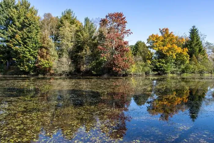 Framed Print : Pond with colorful autumn colors reflecting on water Framed Print : Pond with colorful autumn colors reflecting on water