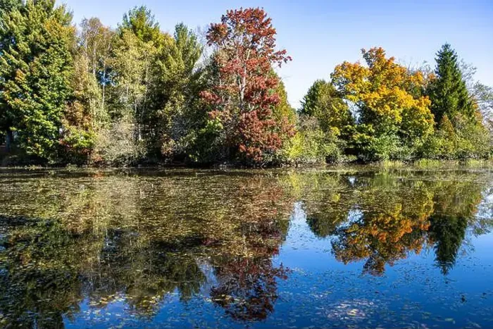 Framed Print : Pond with colorful autumn colors, Ste-Marcelline-de-Kildare, Lanaudiere, Quebec, Canada. Reflections on water surface Framed Print : Pond with colorful autumn colors, Ste-Marcelline-de-Kildare, Lanaudiere, Quebec, Canada. Reflections on water surface