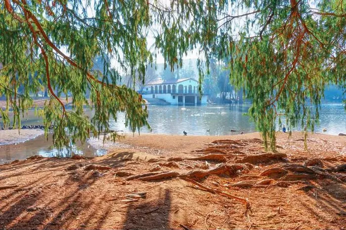 Framed Print : Pond with ducks resting by the shore, framed by tree branches and featuring a historic building in the background Framed Print : Pond with ducks resting by the shore, framed by tree branches and featuring a historic building in the background