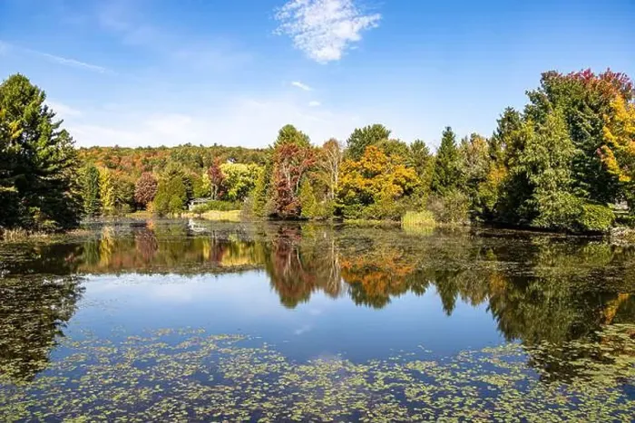 Framed Print : Pond of Ste-Marcelline-de-Kildare with colorful autumn colors, Lanaudiere, Quebec, Canada. Reflections on water surface Framed Print : Pond of Ste-Marcelline-de-Kildare with colorful autumn colors, Lanaudiere, Quebec, Canada. Reflections on water surface