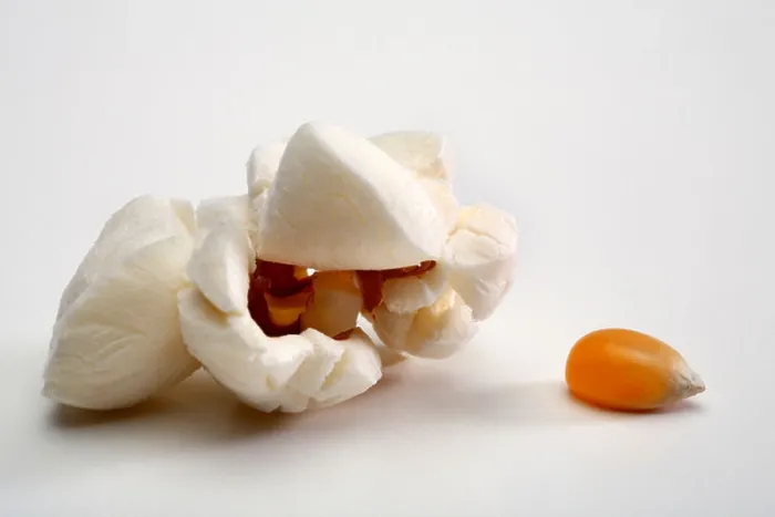 Framed Print : Popped popcorn and unpopped kernel close up Framed Print : Popped popcorn and unpopped kernel close up