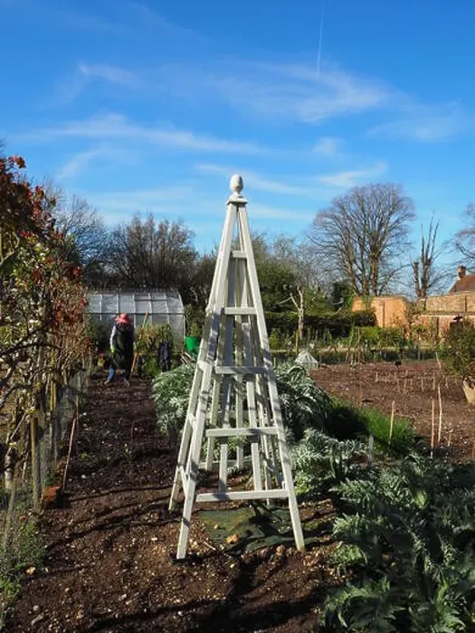 Framed Print : Portrait of gardener preparing the patch in Chenies Manor Kitchen garden in Spring Framed Print : Portrait of gardener preparing the patch in Chenies Manor Kitchen garden in Spring