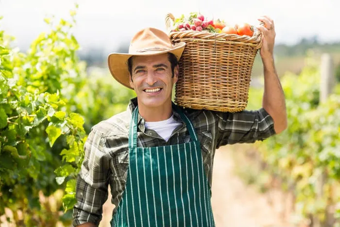 Framed Print : Portrait of happy farmer carrying a basket of vegetables