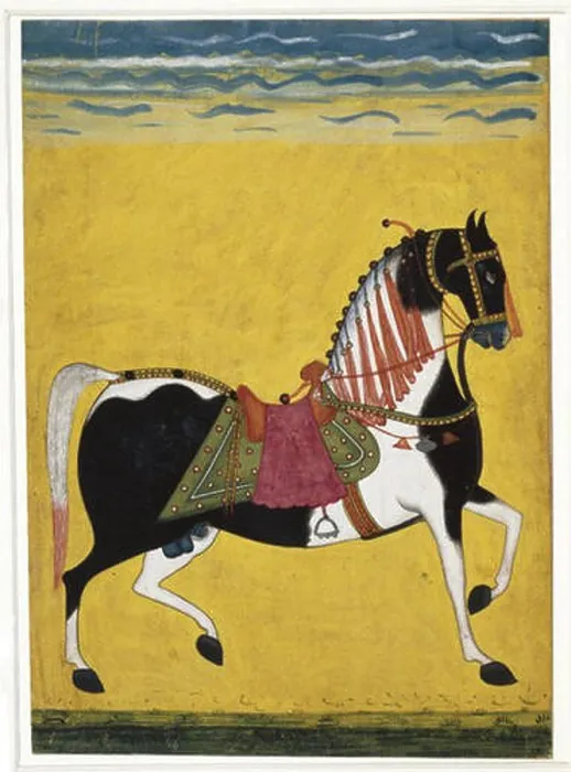 Framed Print : Portrait of a Stallion Northern India Framed Print : Portrait of a Stallion Northern India