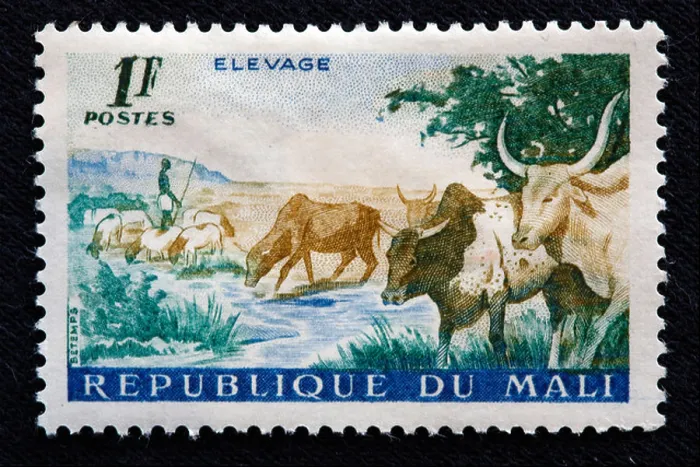 Framed Print : Postage stamp, Mali, 1960-s Framed Print : Postage stamp, Mali, 1960-s