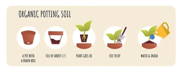 Framed Print : Potting soil mix concept. Organic Soil for Plants. Planting preparation stage Framed Print : Potting soil mix concept. Organic Soil for Plants. Planting preparation stage