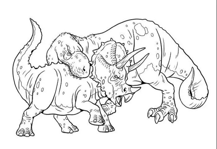 Framed Print : Predatory dinosaur Tyrannosaurus Rex attacks the Triceratops Framed Print : Predatory dinosaur Tyrannosaurus Rex attacks the Triceratops