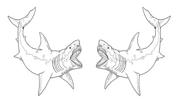 Framed Print : Prehistoric shark - megalodon. Big shark drawing. Monster fish megalodon illustration. Coloring book Framed Print : Prehistoric shark - megalodon. Big shark drawing. Monster fish megalodon illustration. Coloring book