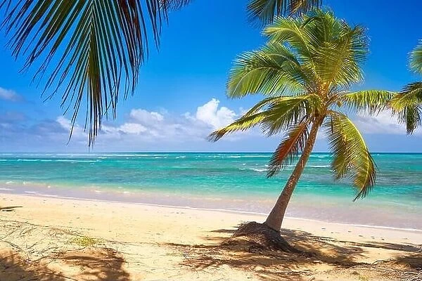 Punta Cana beach, Dominican Republic, Caribbean